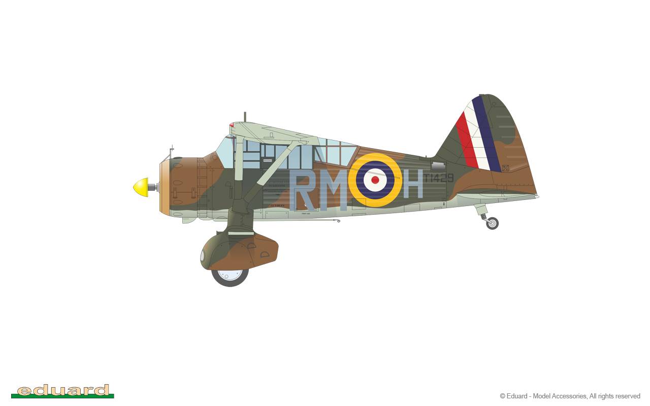 Lysander Limited Edition – Image 12