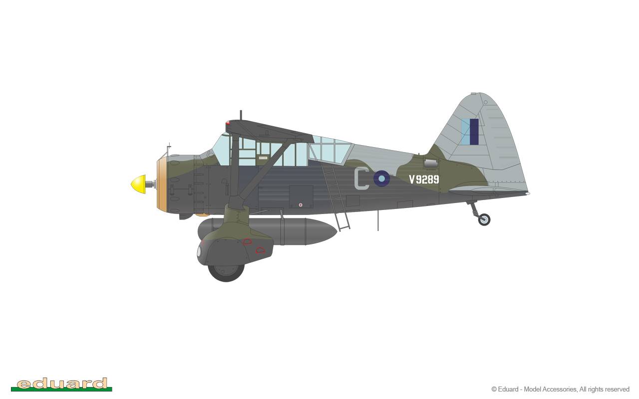Lysander Limited Edition – Image 13