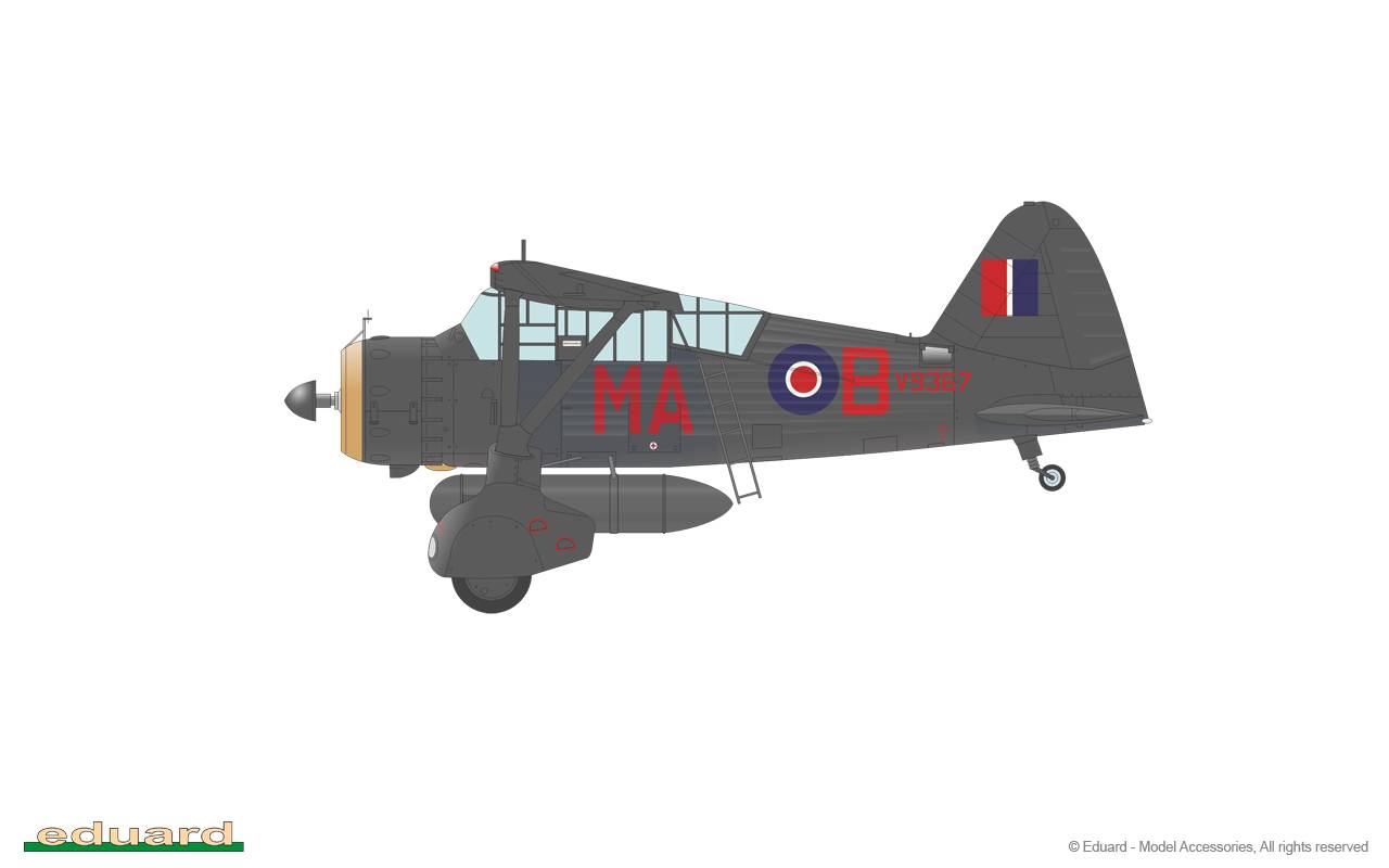 Lysander Limited Edition – Image 14