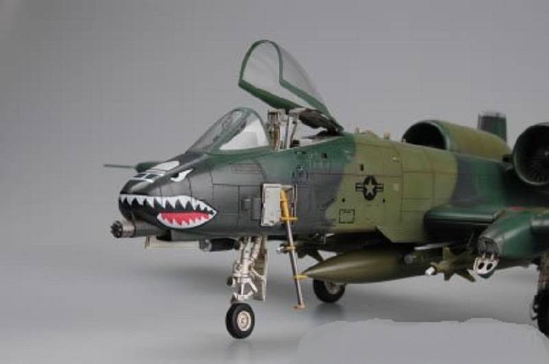 A-10 Thunderbolt II – Image 5