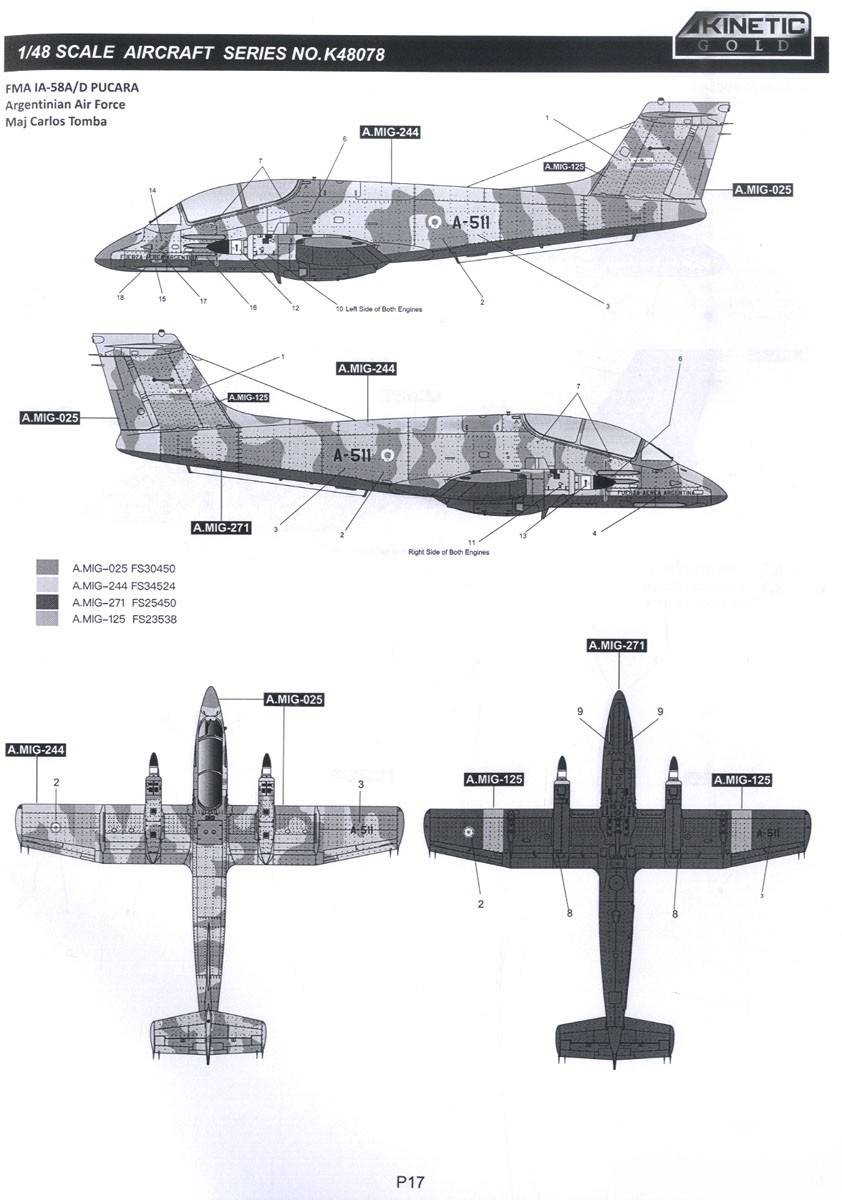 IAI-58 Pucara – Image 11