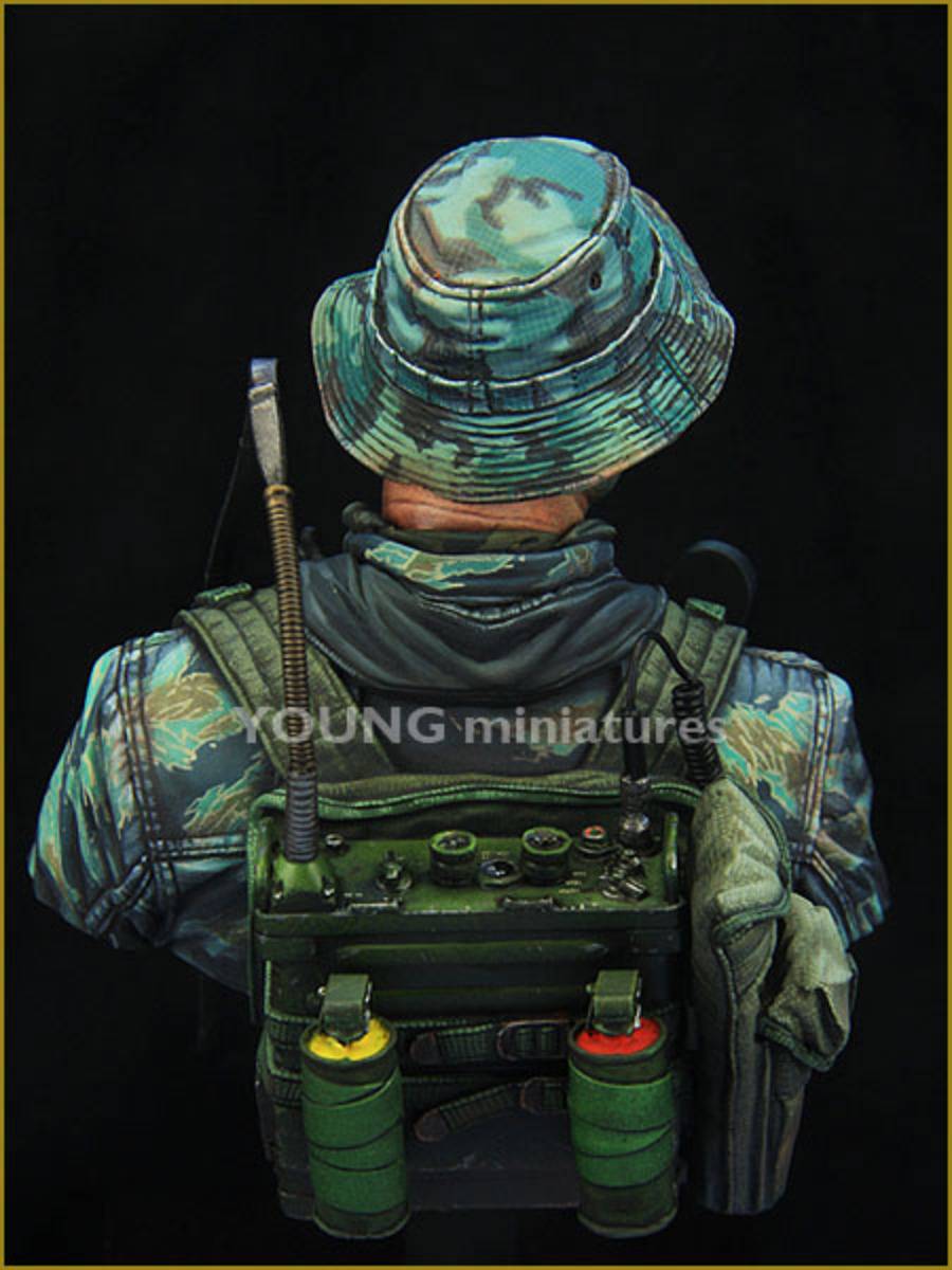 US NAVY SEAL VIETNAM – Image 4
