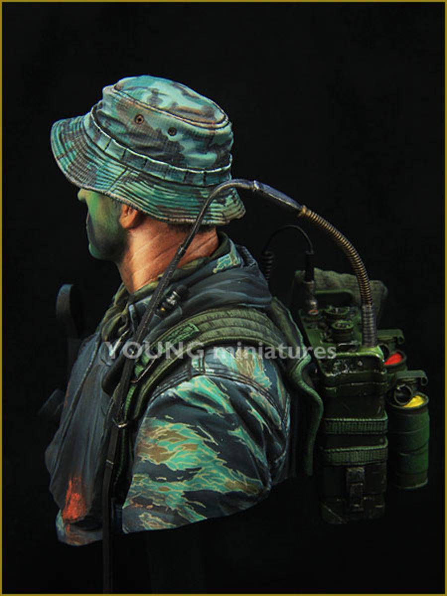 US NAVY SEAL VIETNAM – Image 5