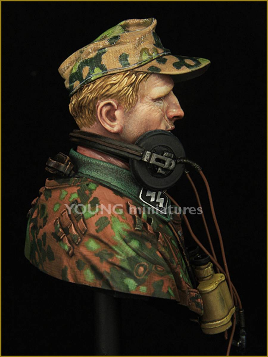 German WAFFEN SS Panzer Officer WWII – Image 6