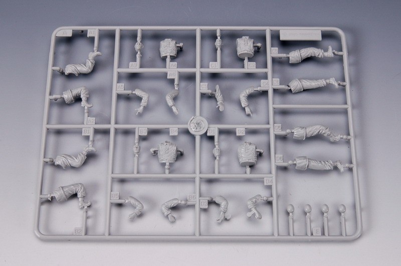 Waffen SS Assault Team 1/35ème – Image 8