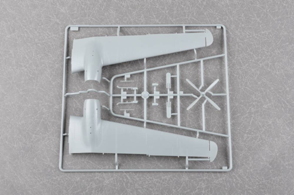 Be-6 Madge – Image 7