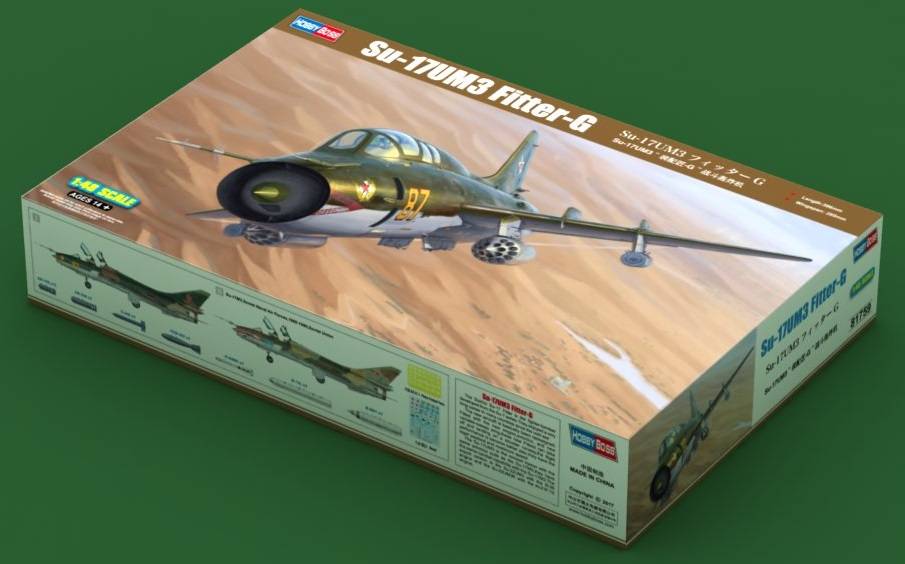 Su-17UM3 Fitter-G – Image 3