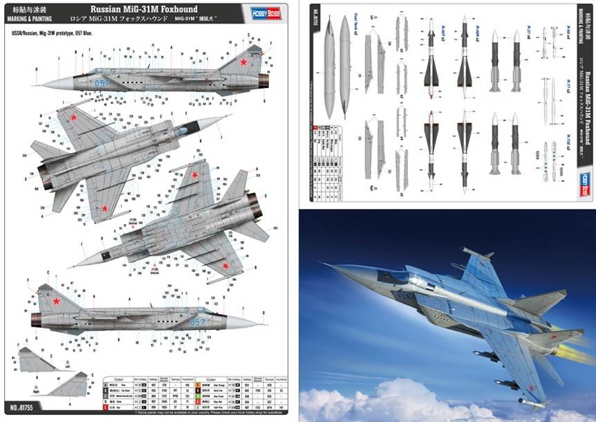 Russian MiG-31M Foxhound – Image 5