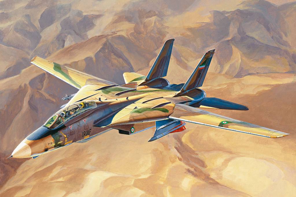 Persian Cat F-14A Tomcat - IRIAF – Image 2
