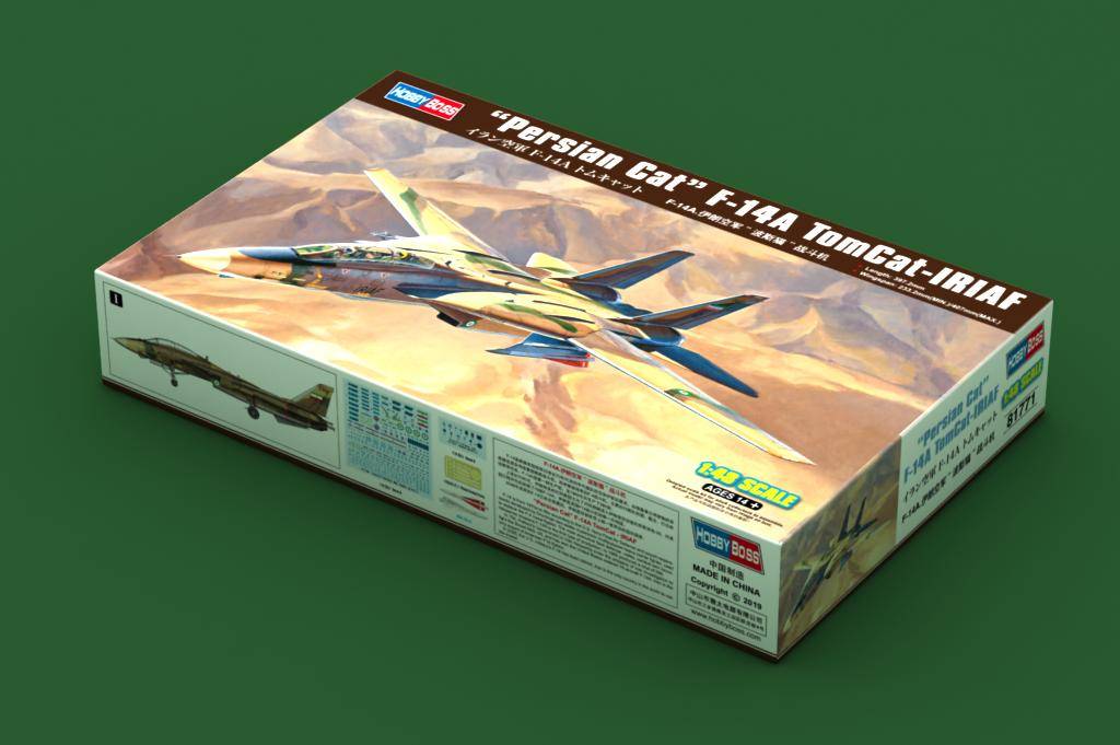 Persian Cat F-14A Tomcat - IRIAF – Image 3