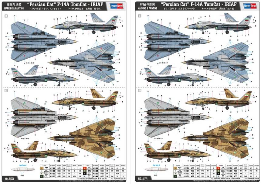 Persian Cat F-14A Tomcat - IRIAF – Image 5