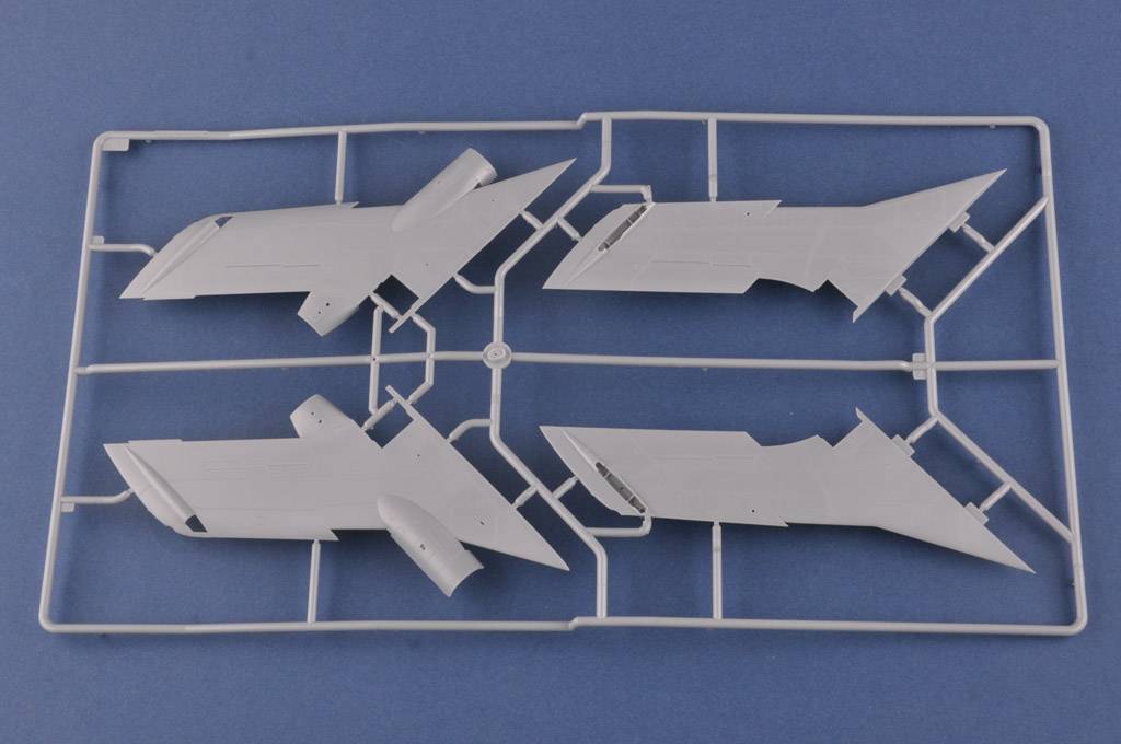Russian Yak-28P Firebar – Image 8