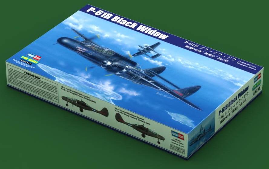 P-61B Black Widow – Image 8