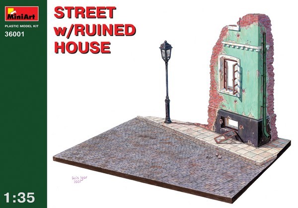 STREET w/RUINED HOUSE