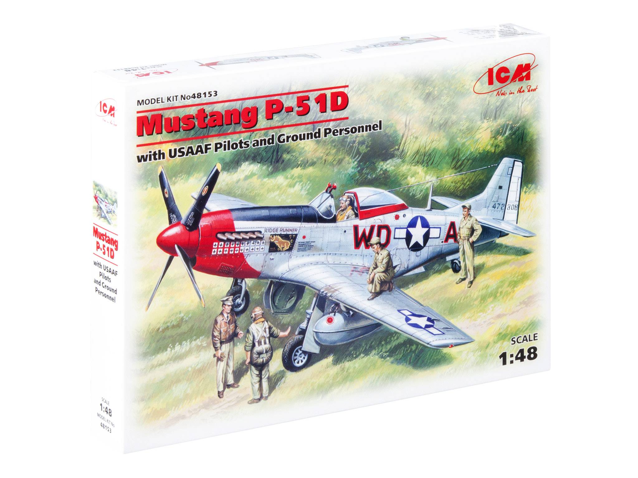 Mustang P-51D with USAAF Pilots and Ground Personnel – Image 8