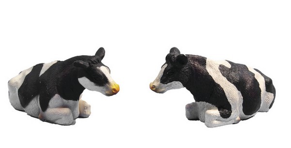 2 vaches couchées – Image 2