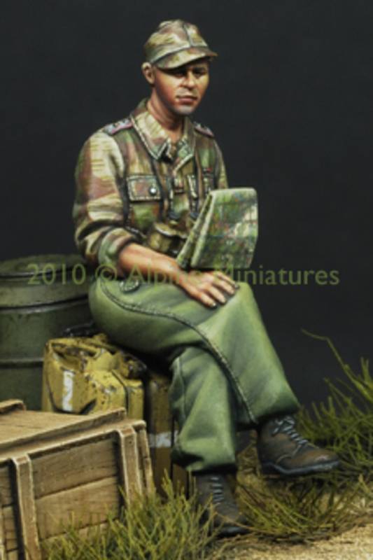 German Panzer Officer in Summer – Image 2