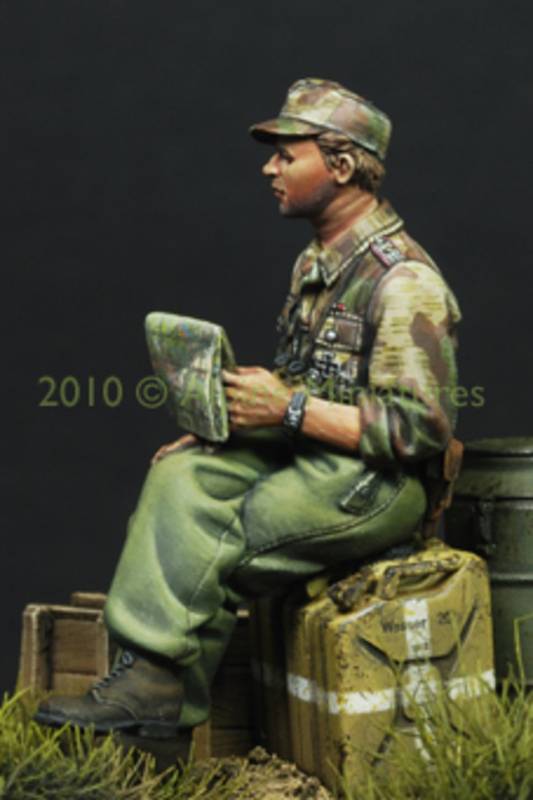 German Panzer Officer in Summer – Image 6
