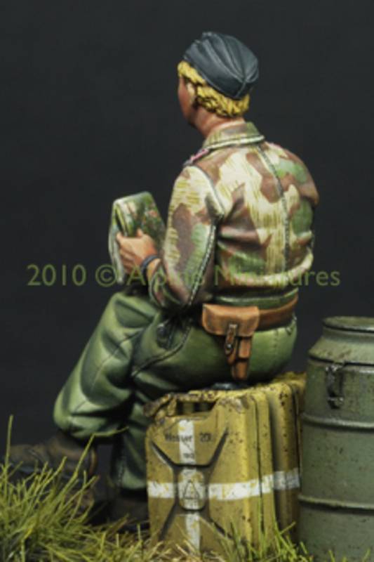 German Panzer Officer in Summer – Image 7