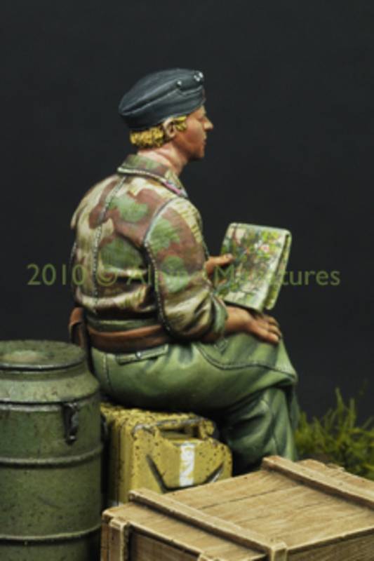 German Panzer Officer in Summer – Image 9