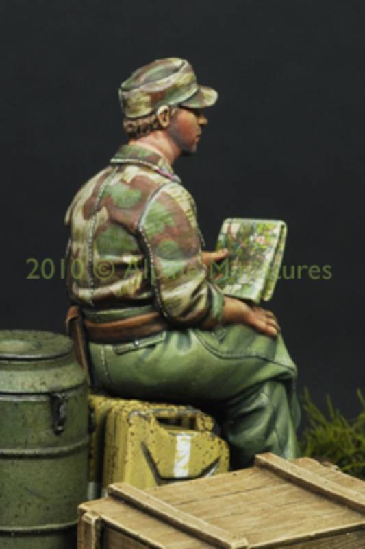 German Panzer Officer in Summer – Image 10