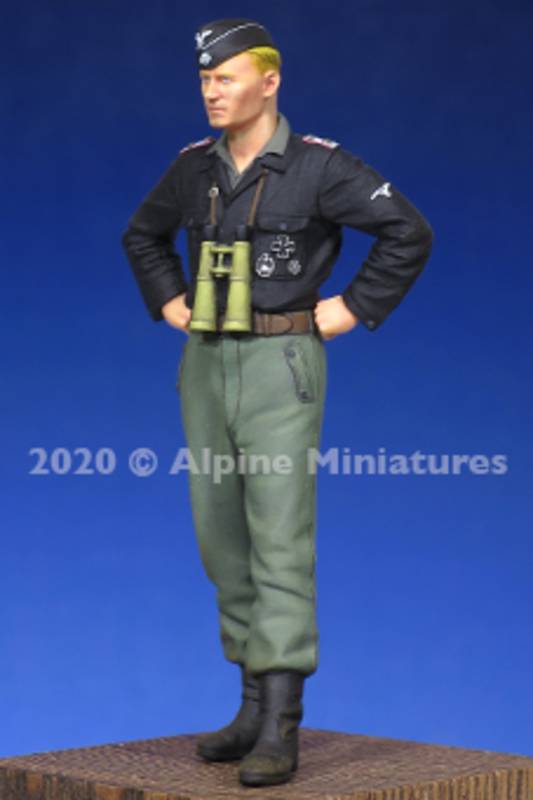 WSS Panzer Officer – Image 5