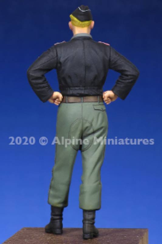 WSS Panzer Officer – Image 7