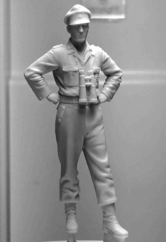 WSS Panzer Officer – Image 9