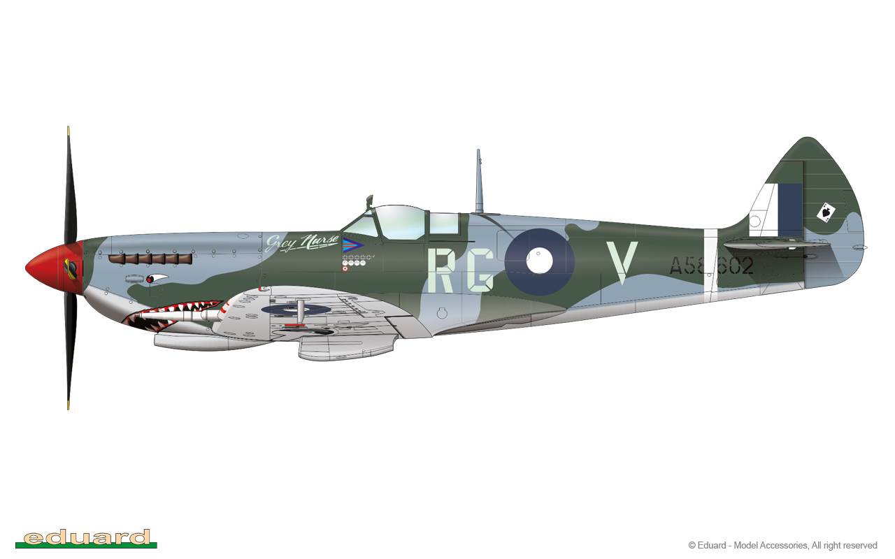 Spitfire Mk. VIII ProfiPACK edition – Image 36