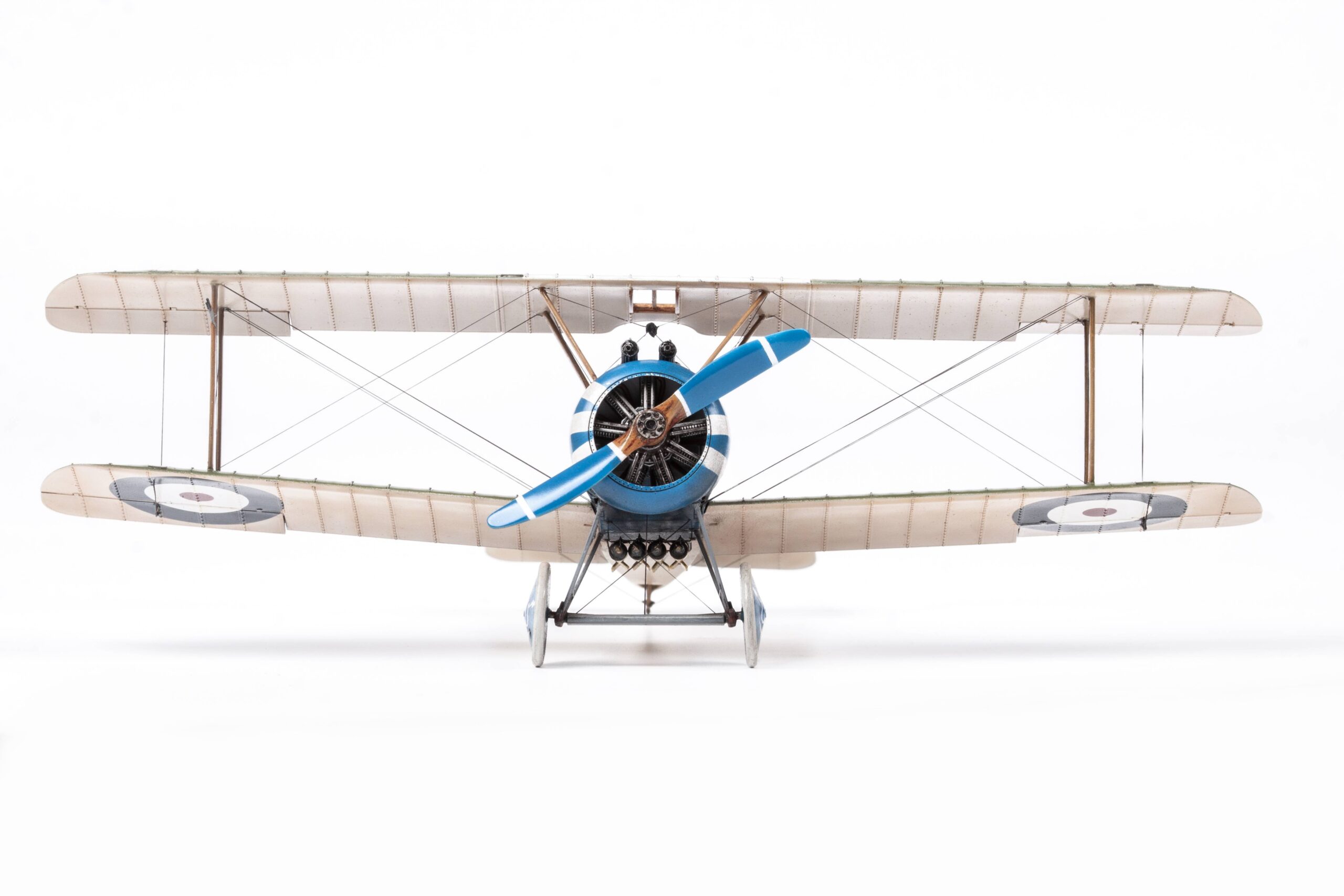 Camel & Co. DUAL COMBO – Image 13
