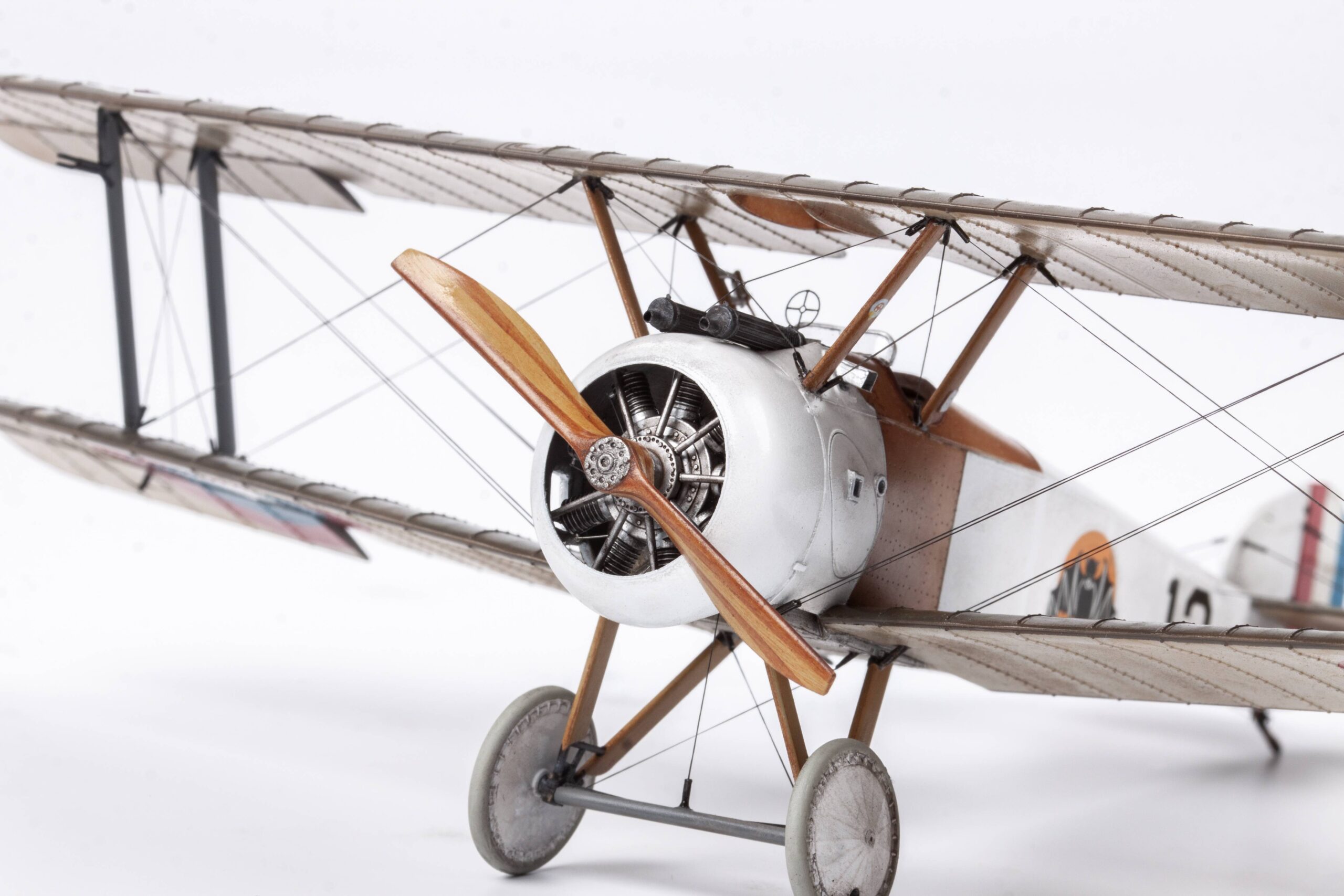 Camel & Co. DUAL COMBO – Image 16