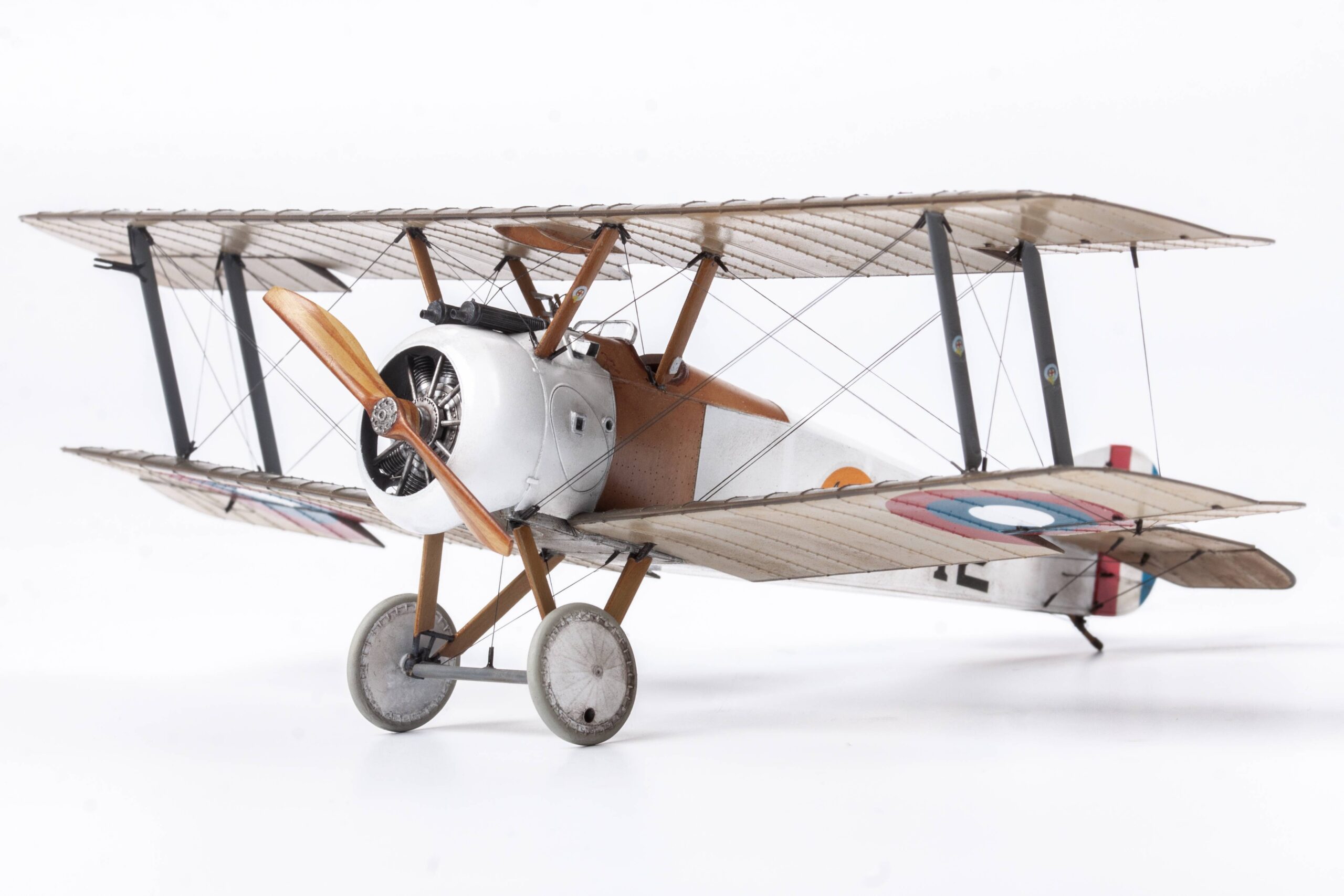 Camel & Co. DUAL COMBO – Image 20