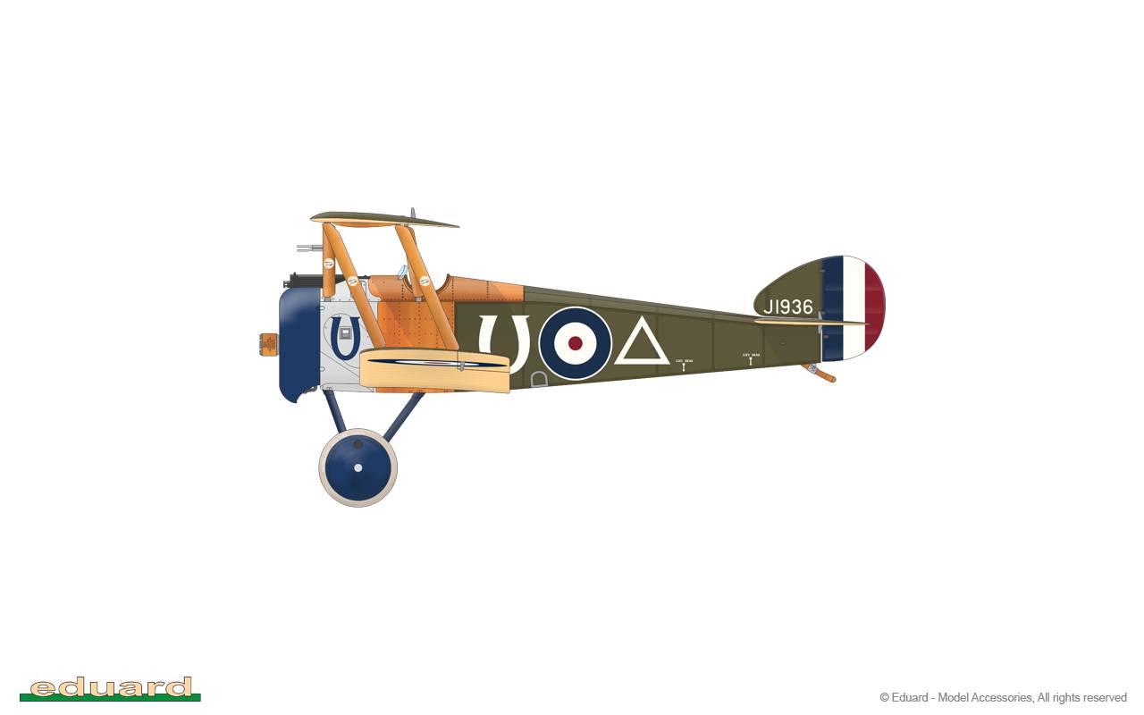 Camel & Co. DUAL COMBO – Image 33