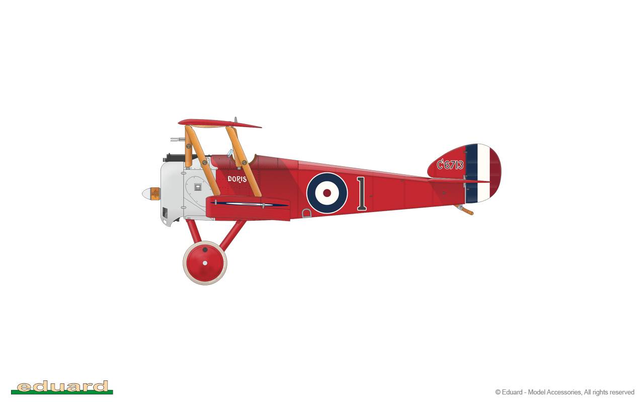 Camel & Co. DUAL COMBO – Image 37