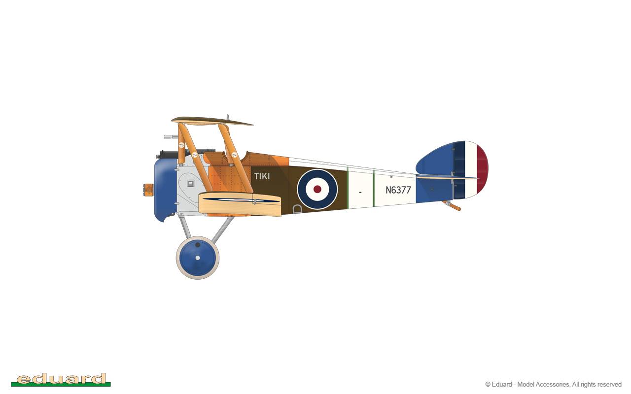 Camel & Co. DUAL COMBO – Image 39