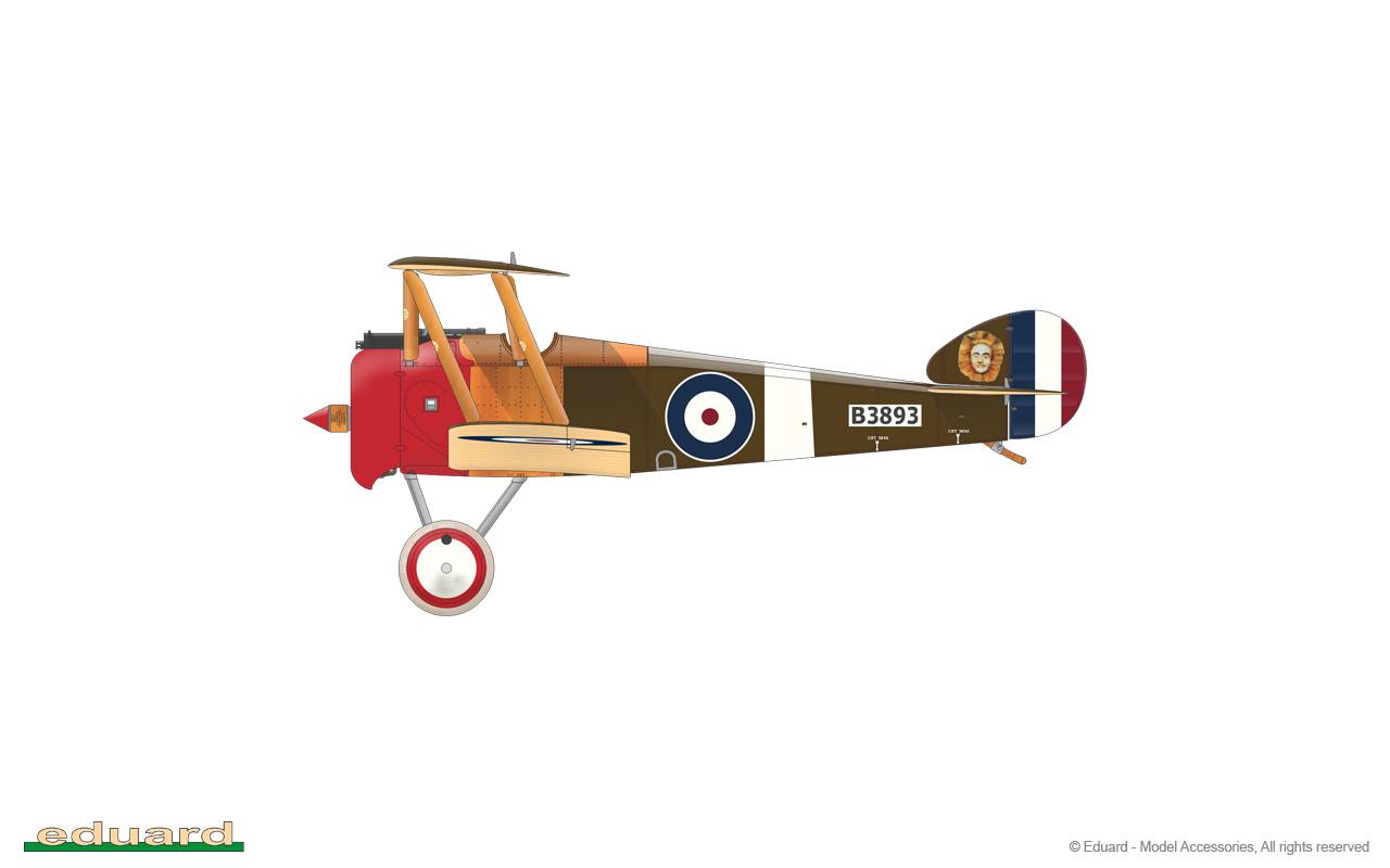 Camel & Co. DUAL COMBO – Image 40