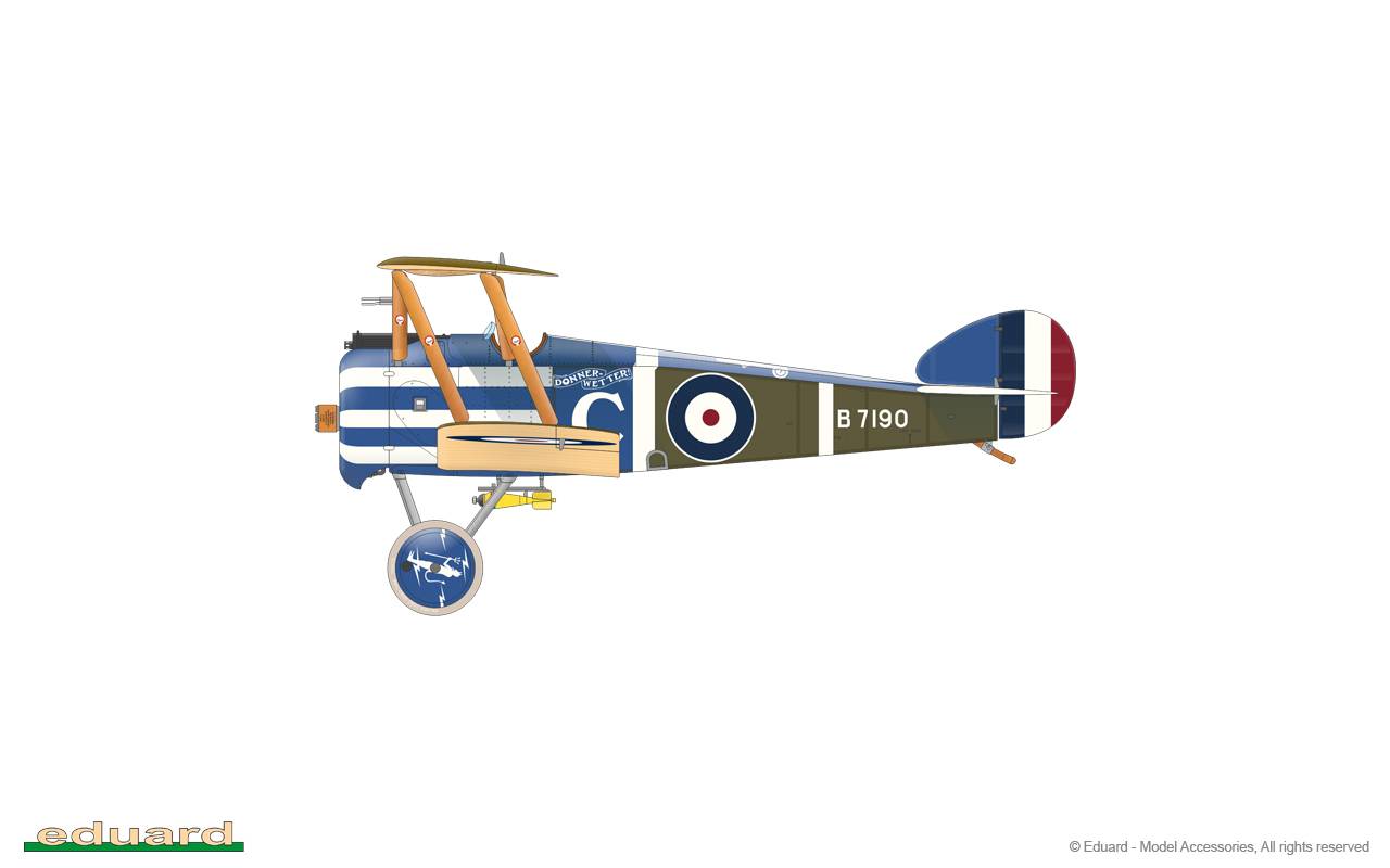 Camel & Co. DUAL COMBO – Image 41