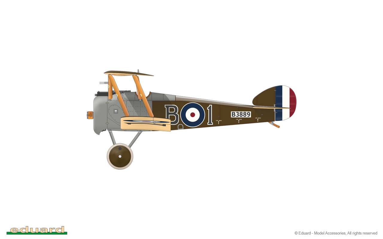 Camel & Co. DUAL COMBO – Image 42
