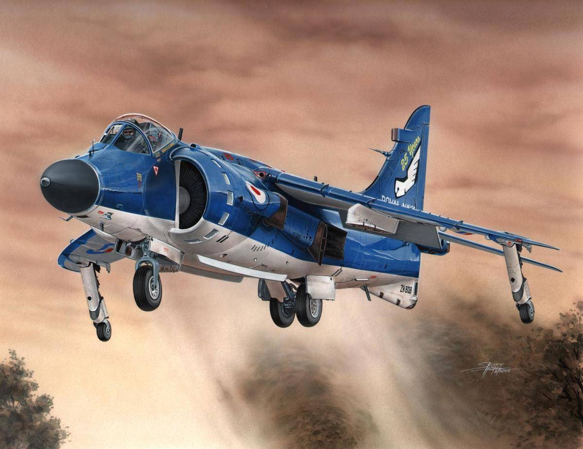 Sea Harrier FA.2 "Hi-tech" – Image 2