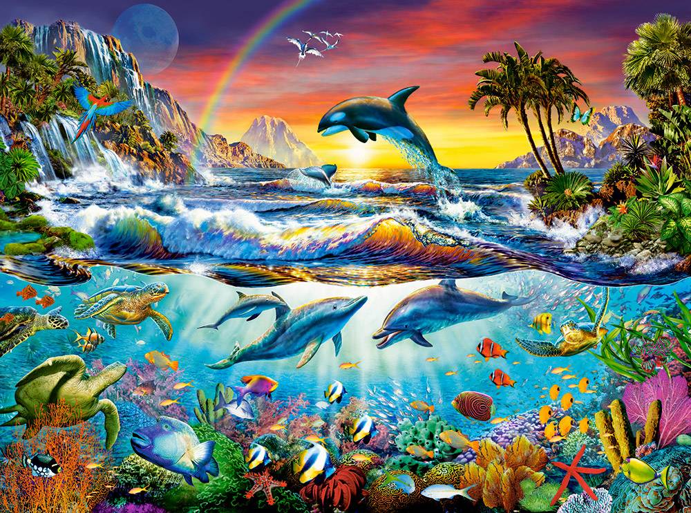 Paradise Cove – Image 2