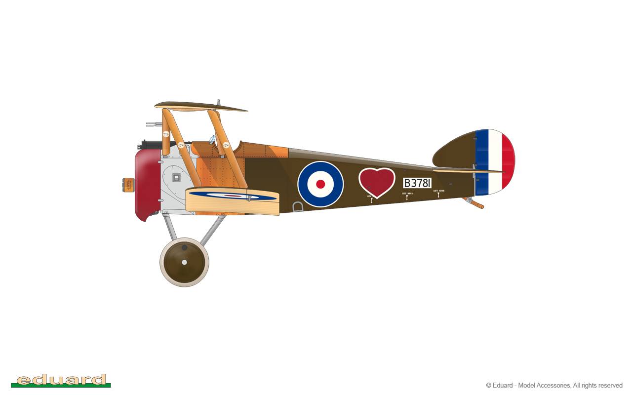 Sopwith F.1 Camel (BR.1) ProfiPACK edition – Image 14