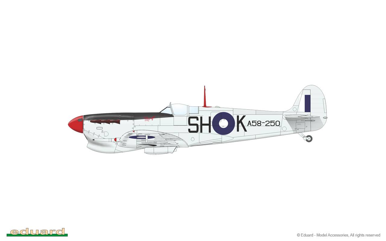 SPITFIRE STORY: Southern Star – Image 23