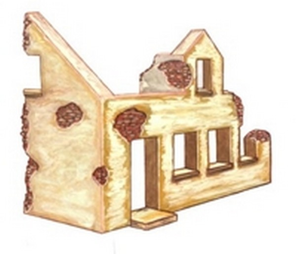 MAISON DE CAMPAGNE EN RUINE
