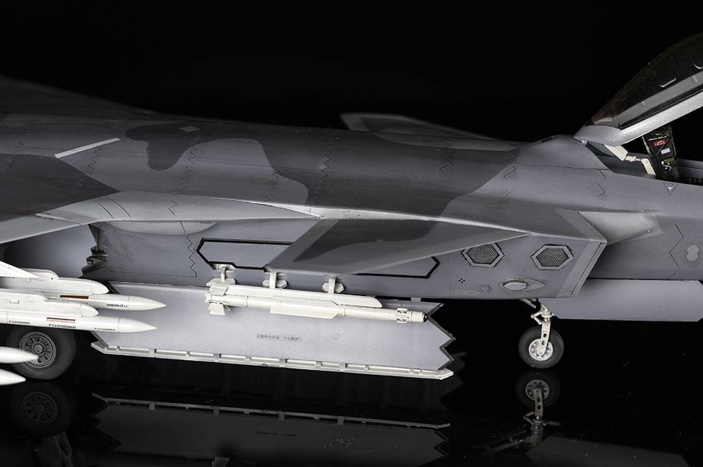 Chinese J-20 Mighty Dragon-Beast Mode – Image 8