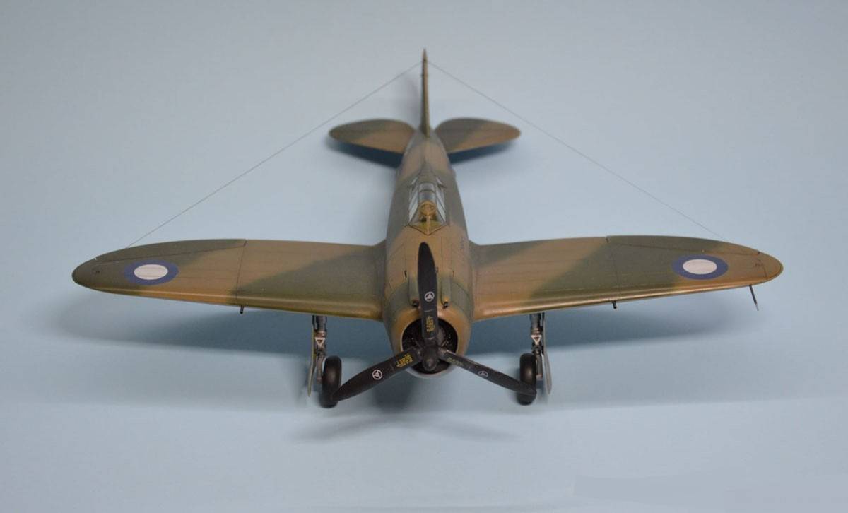 Republic P-43B/C Lancer – Image 7