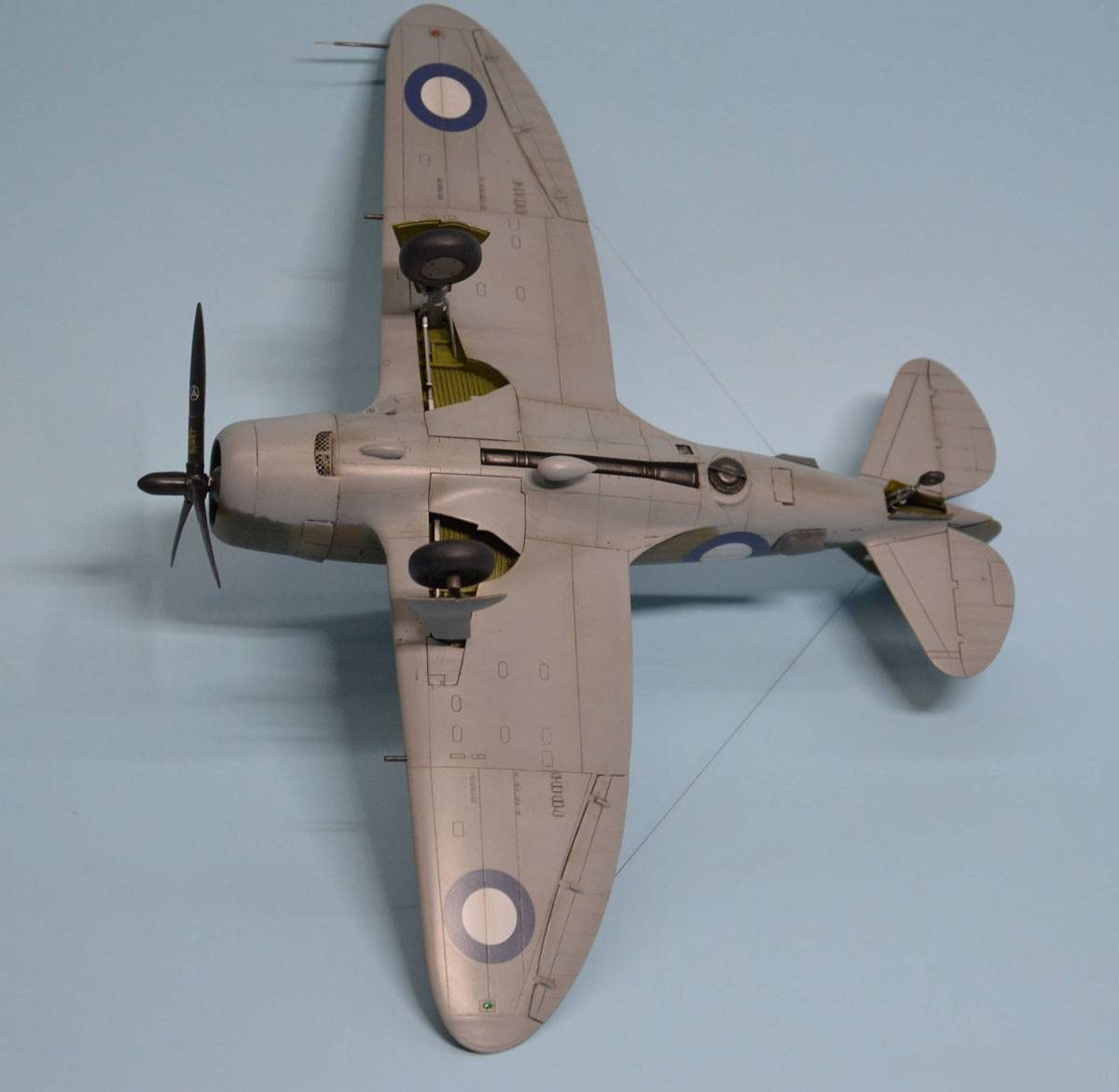 Republic P-43B/C Lancer – Image 12