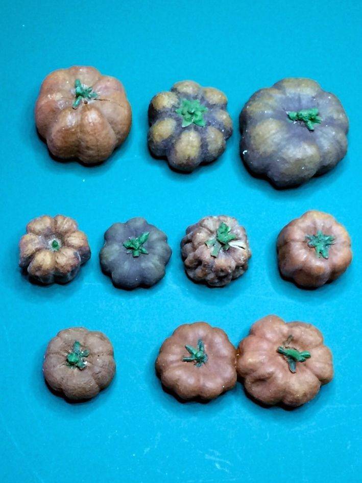 Potirons et citrouilles