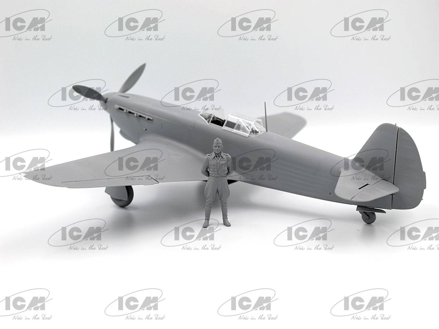 Normandie-Niémen. Plane of Roland de la Poype – Image 4