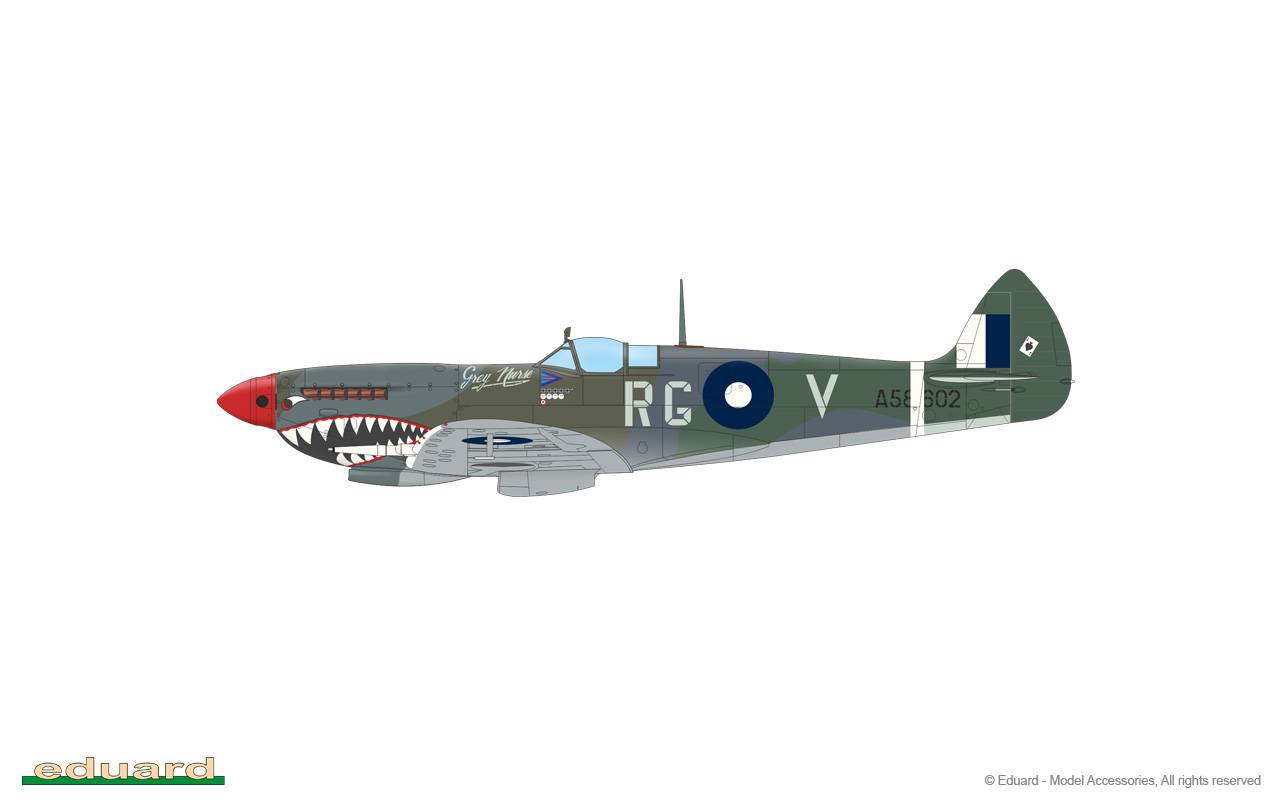 Spitfire Mk.VIII – Image 6