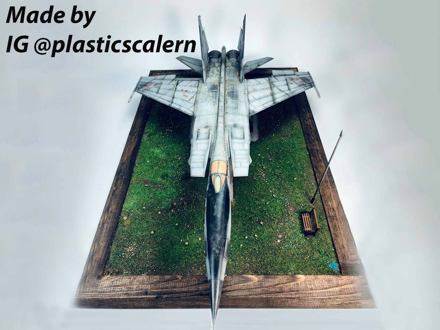 MiG-25 RBF Soviet Reconnaissance Plane – Image 3
